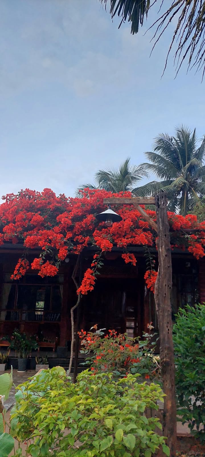 Đất nền buôn Riêng, xã Ea KNuec, 250m² giá 6.75 tỷ - Cơ hội đầu tư vàng!