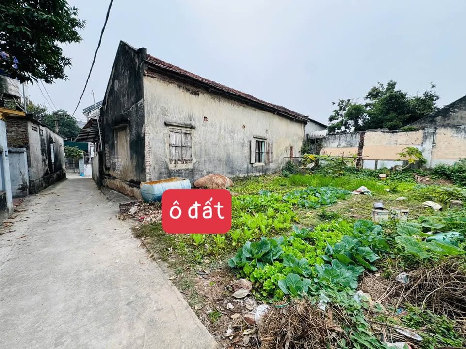 Đất thổ cư Yên Tâm, Sông Lô 90m² giá chỉ 1.1 tỷ - Cơ hội đầu tư tuyệt vời!