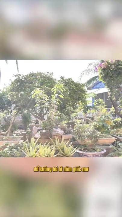 Biệt thự sân vườn Cát Hải 1200m² giá 50 tỷ - Đối diện biển tuyệt đẹp!