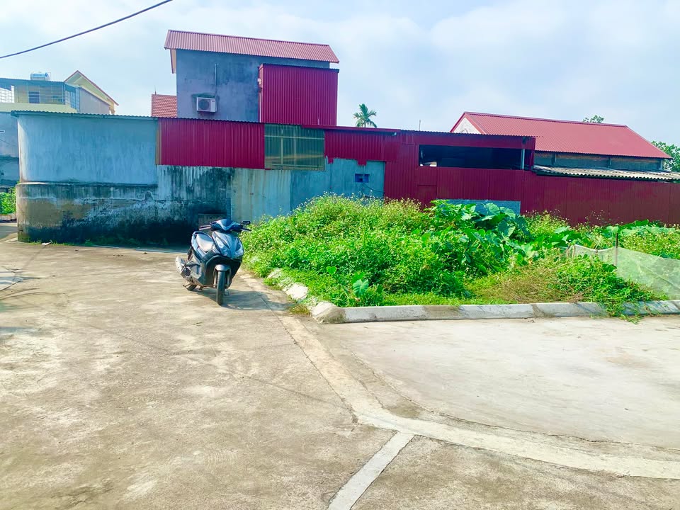 Đất nền chính chủ tại xã An Khánh, Hải Phòng 60m² - Giá cả thương lượng hấp dẫn!
