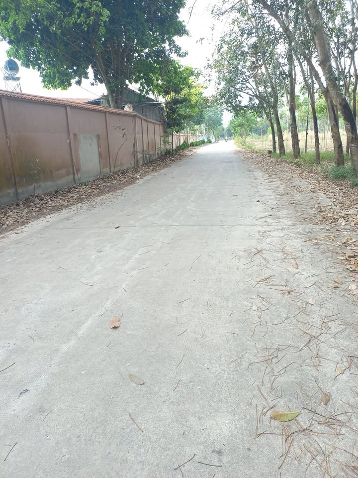 Đất nền Ấp 3, Xã Xuân Thới Thượng, 1200m² giá 1.7 tỷ - Cơ hội đầu tư tuyệt vời!