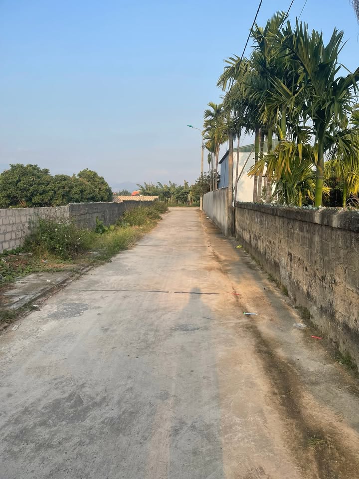 Đất nền Tràng Bảng 1, Tây Ninh 140m² giá 600 triệu - Đầu tư lý tưởng!