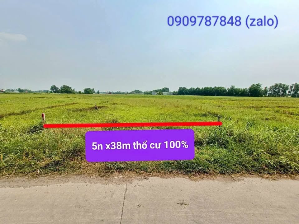 Đất nền chính chủ Xã Hậu Nghĩa 190m² giá chỉ 980 triệu - Sổ hồng riêng, đầu tư sinh lời!