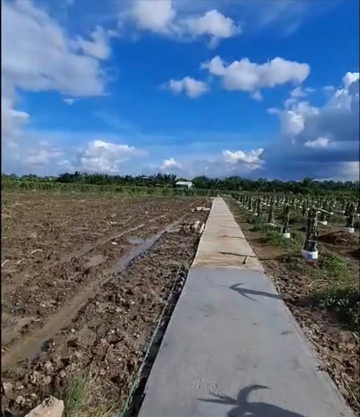 Đất vườn 680m² Thanh Phú Long - Giá chỉ 279 triệu - Cơ hội đầu tư tuyệt vời!