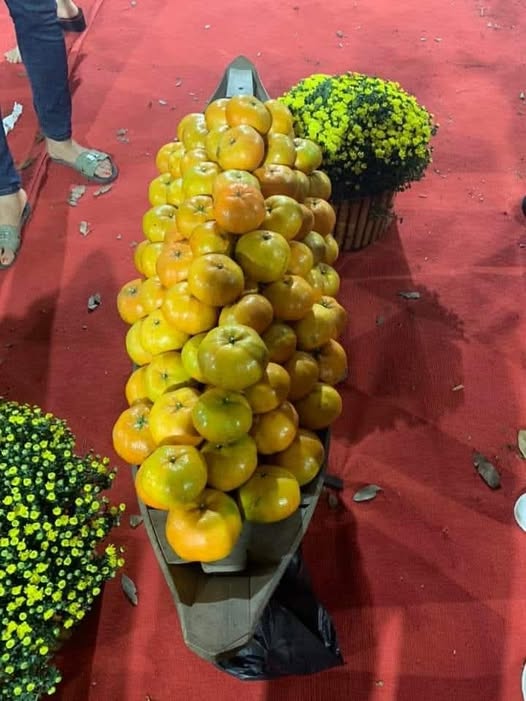 Bán gấp FrontHouse đường Sư Vạn Hạnh, Quận 10, 135m² giá 675 triệu - Cơ hội đầu tư tuyệt vời!