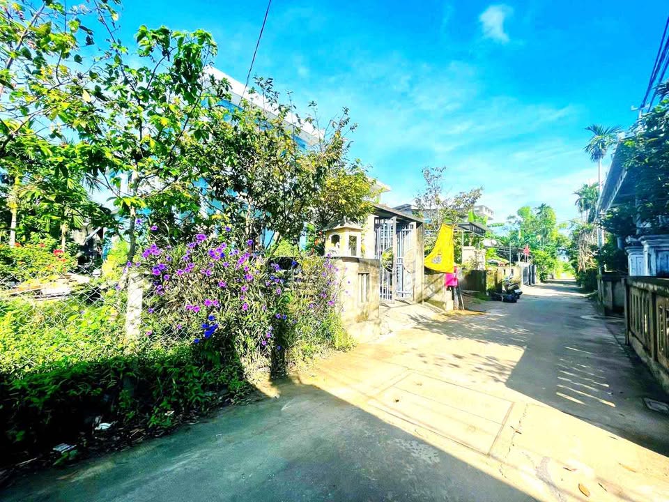 Đất nền Kiệt ô tô Nguyễn Cửu Vân, Vỹ Dạ 98.4m² giá 1 tỷ - Vị trí đẹp, giao thông thuận lợi!