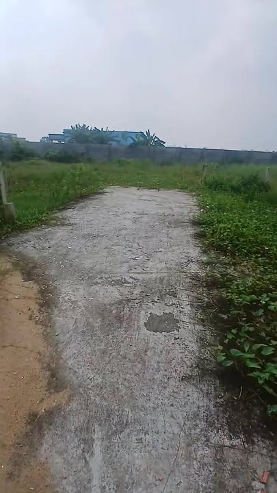 Đất nền xã Phước Hậu, huyện Cần Giuộc, 500m² giá 1.65 tỷ - Cơ hội đầu tư hấp dẫn!