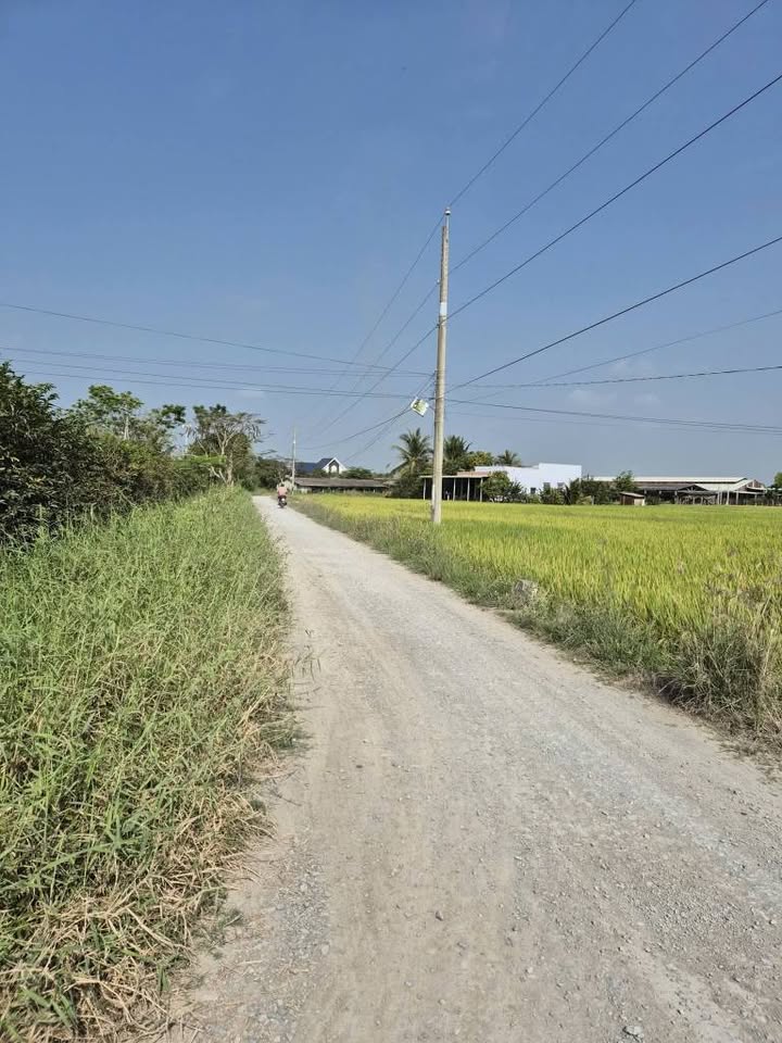 Đất nền 1000m² Xã Tân Lân, Cần Đước giá 1.1 tỷ - Đầu tư sinh lời ngay!