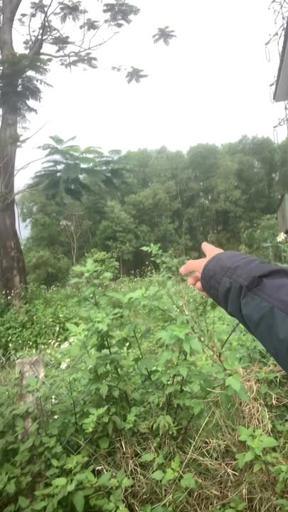 Mặt tiền kinh doanh Đường Độc Lập, Tứ Hạ 120m² giá 1 tỷ - Sổ hồng chính chủ