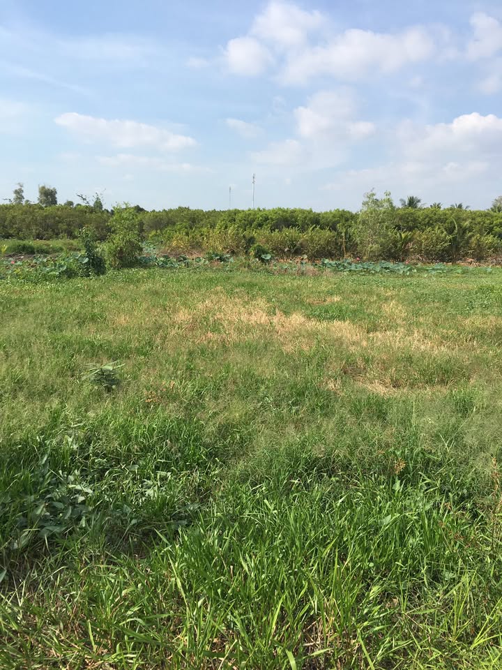 Đất nền xã Hòa An, Huyện Phụng Hiệp 215m² giá 299 triệu - Sổ hồng chính chủ!