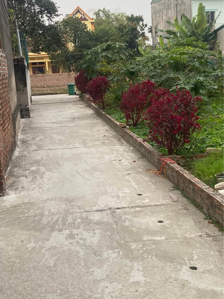 Đất nền Phường Xuân Lâm 90m² giá 2.3 tỷ - Vị trí đắc địa, tiềm năng phát triển!