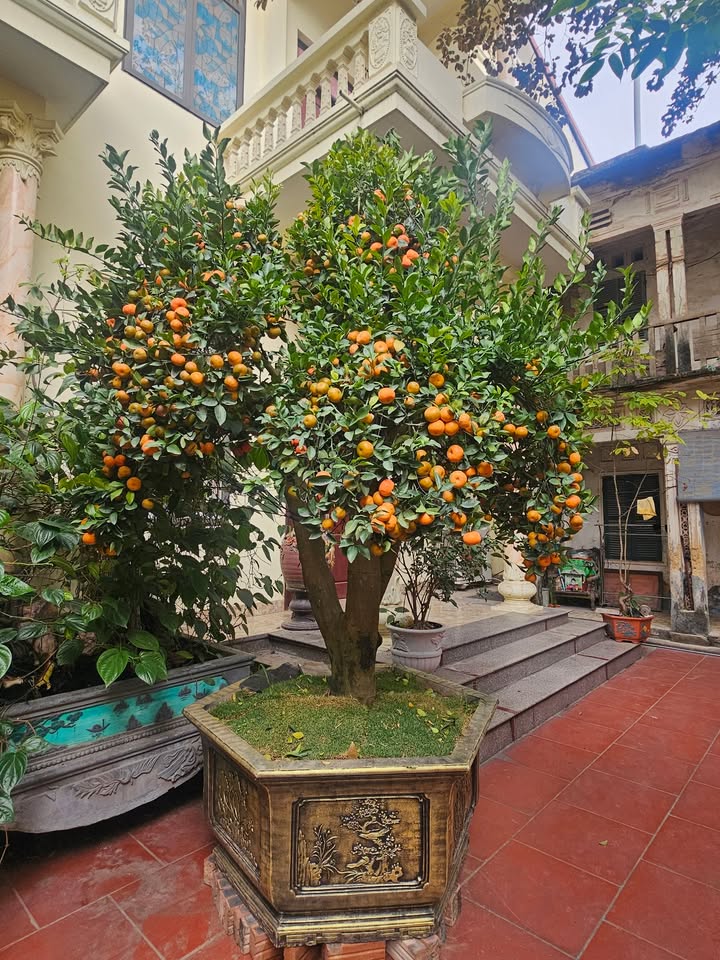 Đất nền Đại Hoàng Long Bắc Ninh 270m² giá 1 tỷ - Cơ hội đầu tư tuyệt vời!