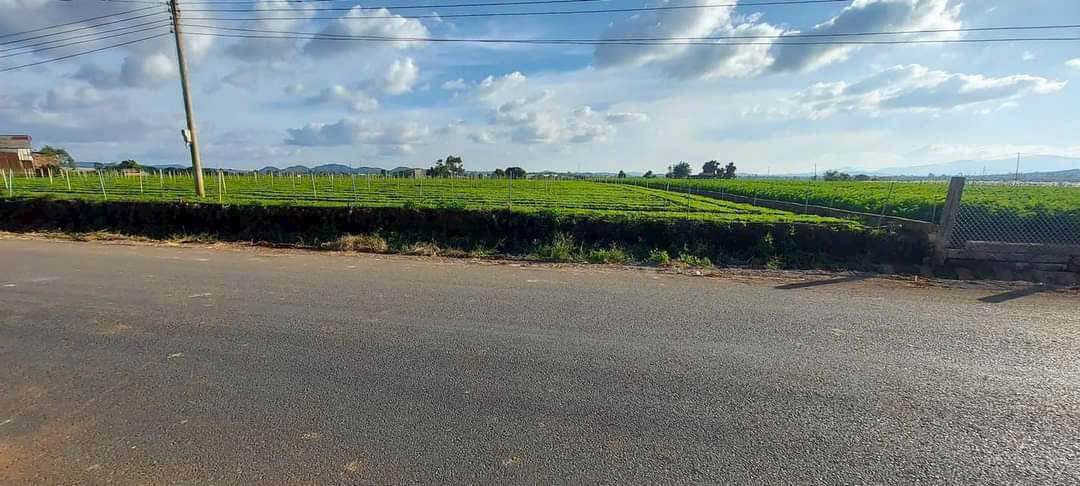 Đất nền Thị trấn Liên Nghĩa 500m² giá 2.8 tỷ - Đầu tư sinh lời ngay!