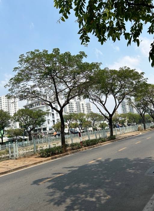 Nhà 2 Tầng Hậu Giang, Quận 6 79m² giá 5 tỷ - Đầu tư sinh lời ngay!