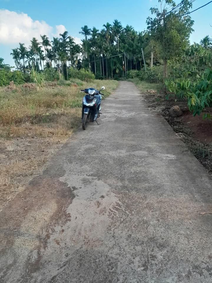 Đất nền khu Bee Home 546m² giá 8.45 tỷ - Lô góc 2 mặt tiền, ô tô vào tận nơi!