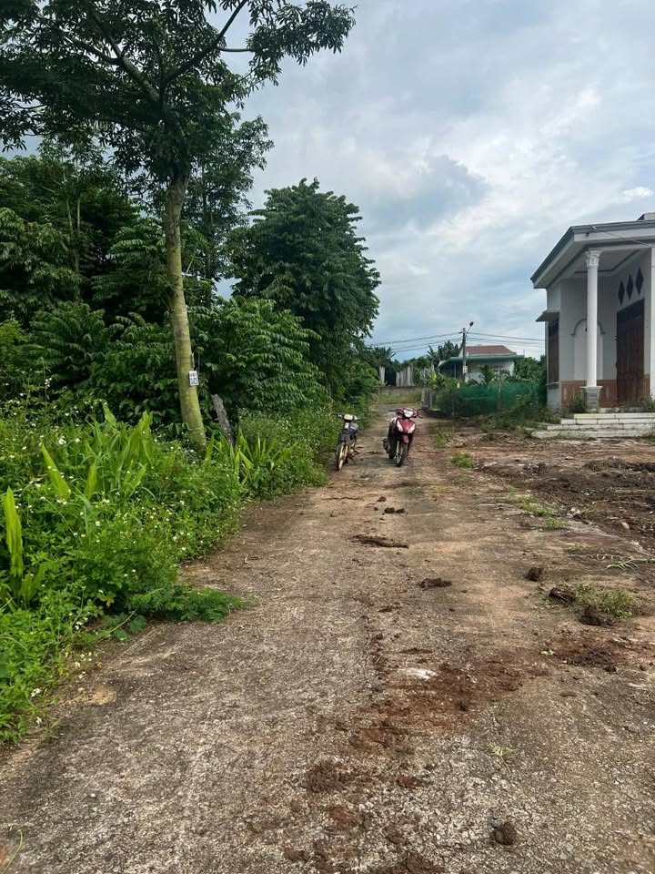 Đất thổ cư Phường Eakao, 60m² giá 620 triệu - Đầu tư sinh lời ngay!