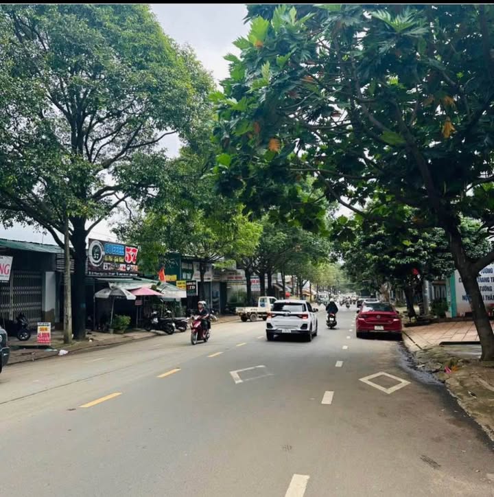 Nhà mặt tiền Y Ngông Buôn Ma Thuột 248m² giá 14.5 tỷ - Cơ hội đầu tư sinh lời!