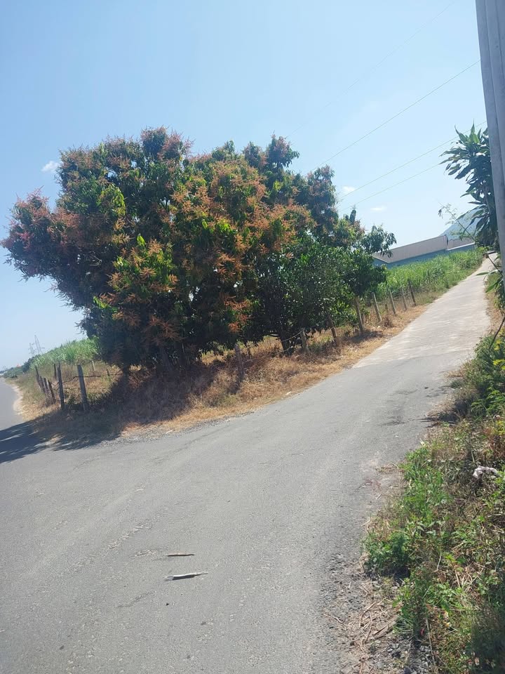 Đất nền lô góc 2 mặt tiền tại Cam Tân, 218m² giá 90 triệu - Cơ hội đầu tư tuyệt vời!