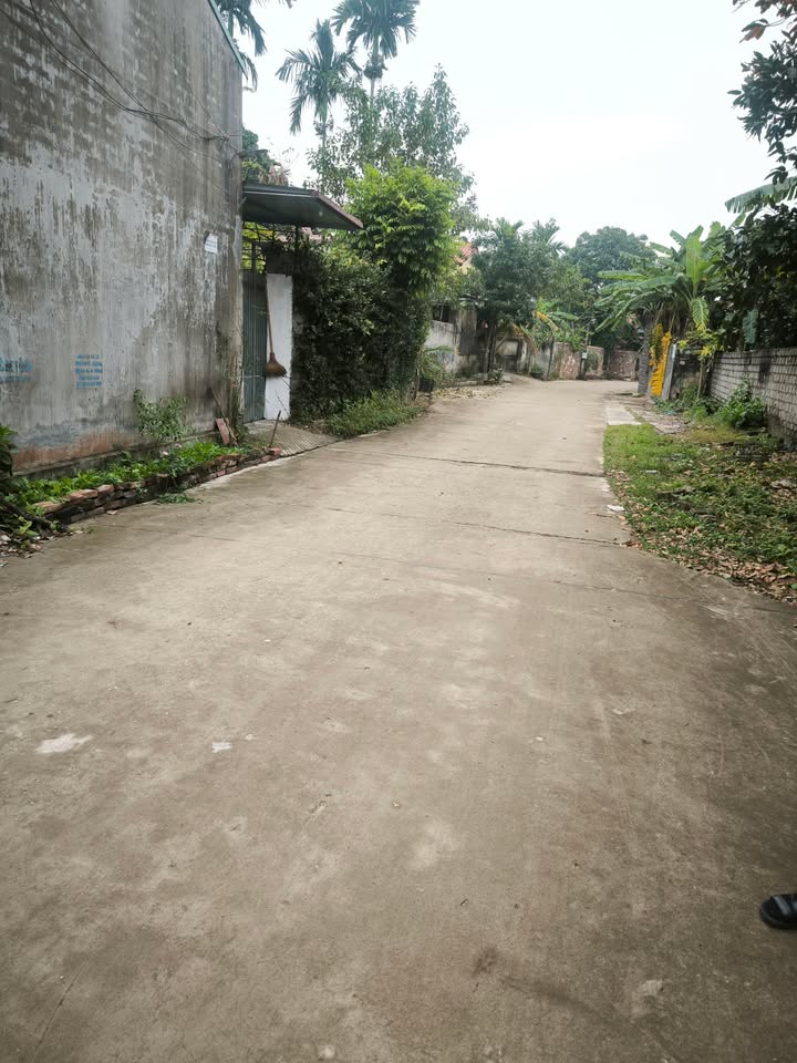 Đất nền 100m² tại trung tâm Nham Biền, Bắc Giang - Đầu tư sinh lời ngay!