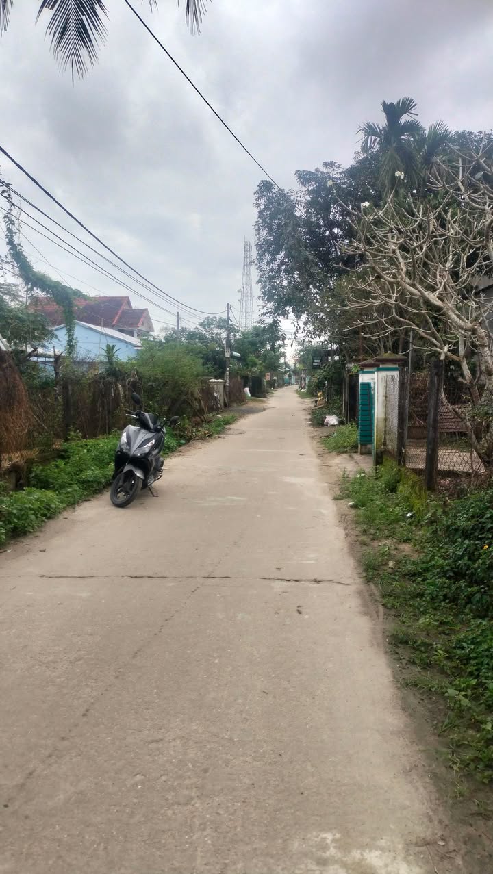 Đất tặng nhà cổ Cẩm Thanh Hội An 400m² chỉ 1x tỷ - Đầu tư sinh lời