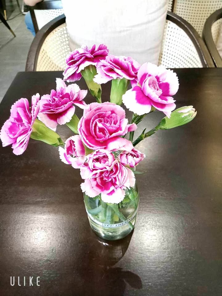 Đất nền Vt2 Yên Ninh 120m² giá chỉ 1 tỷ - Đầu tư sinh lời ngay!