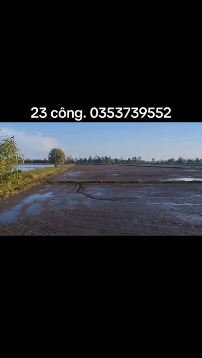 Đất nền 23 Rạch Gỗ, Xã Tân Khánh Hòa, 23000m² - Mặt tiền sông lớn, giá thương lượng!