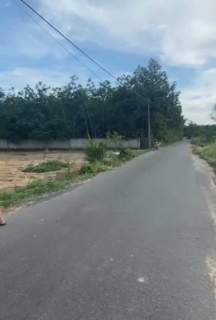 Đất vườn An Nhơn Tây Củ Chi 7.835m² giá 1x tỷ - Đầu tư sinh lời cao!