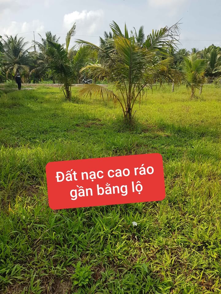 Đất CLN Trung Ngãi Vĩnh Long 729m² giá 1.5 tỷ - Vị trí đắc địa, cơ hội đầu tư lớn!