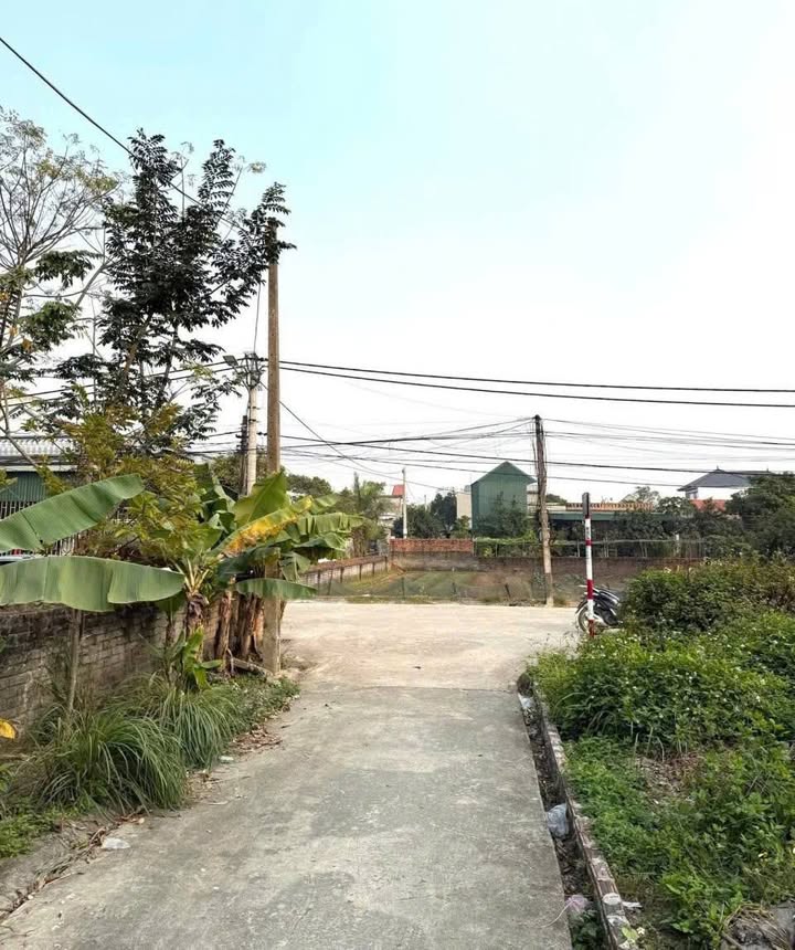 Đất nền Trần Khát Chân - Ninh Phúc 127m² giá chỉ 2xxx tỷ - Tiềm năng đầu tư lớn!