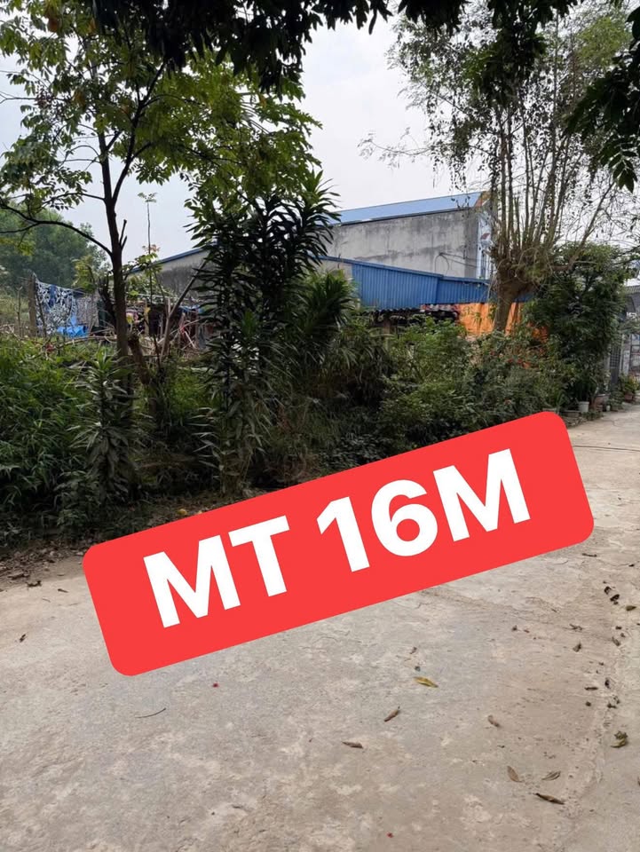 Đất đầu tư Xã Hóa Thượng, Huyện Đồng Hỷ 1.383m² giá 5 tỷ - Cơ hội sinh lời lớn!