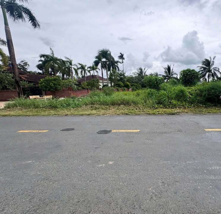 Đất nền mặt tiền đường Hương Lộ 6, Bạc Liêu 360m² - Cơ hội đầu tư sinh lời!