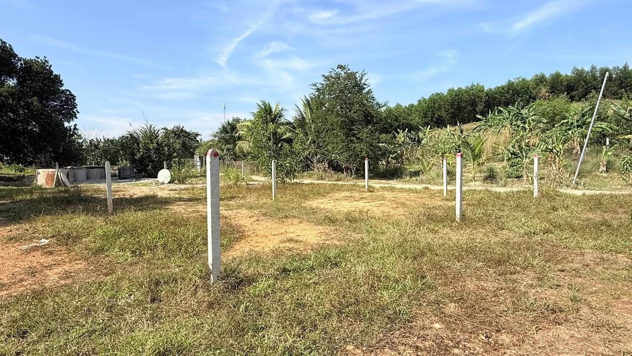 Đất thổ cư Suối Thơm, Khánh Đông 800m² giá 599 triệu - Cơ hội đầu tư tuyệt vời!