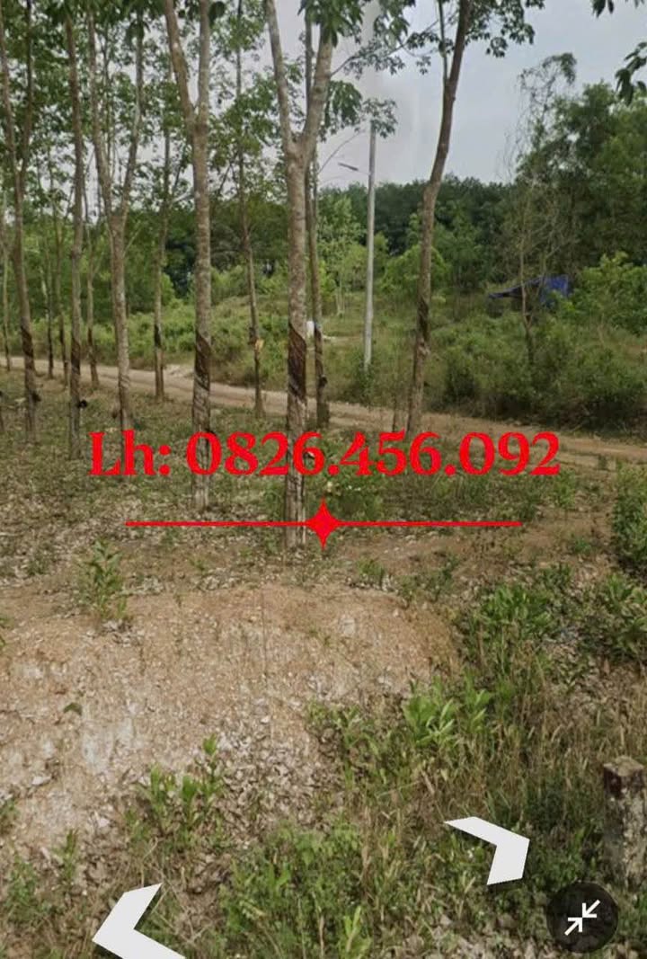 Đất sào Tân Đồng, Đồng Xoài 620m² giá thỏa thuận - Cơ hội đầu tư hấp dẫn!