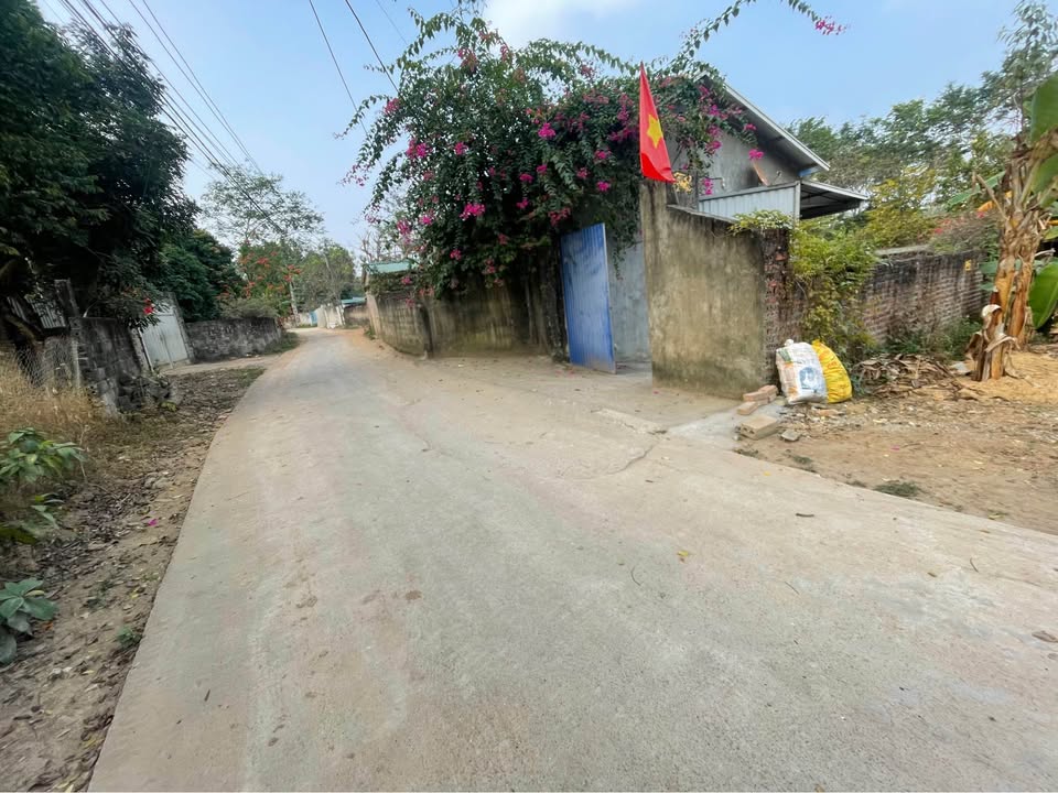 Đất thổ cư 114m² tại Thị trấn Kim Long, Huyện Tam Dương - Giá chỉ từ 7xx triệu