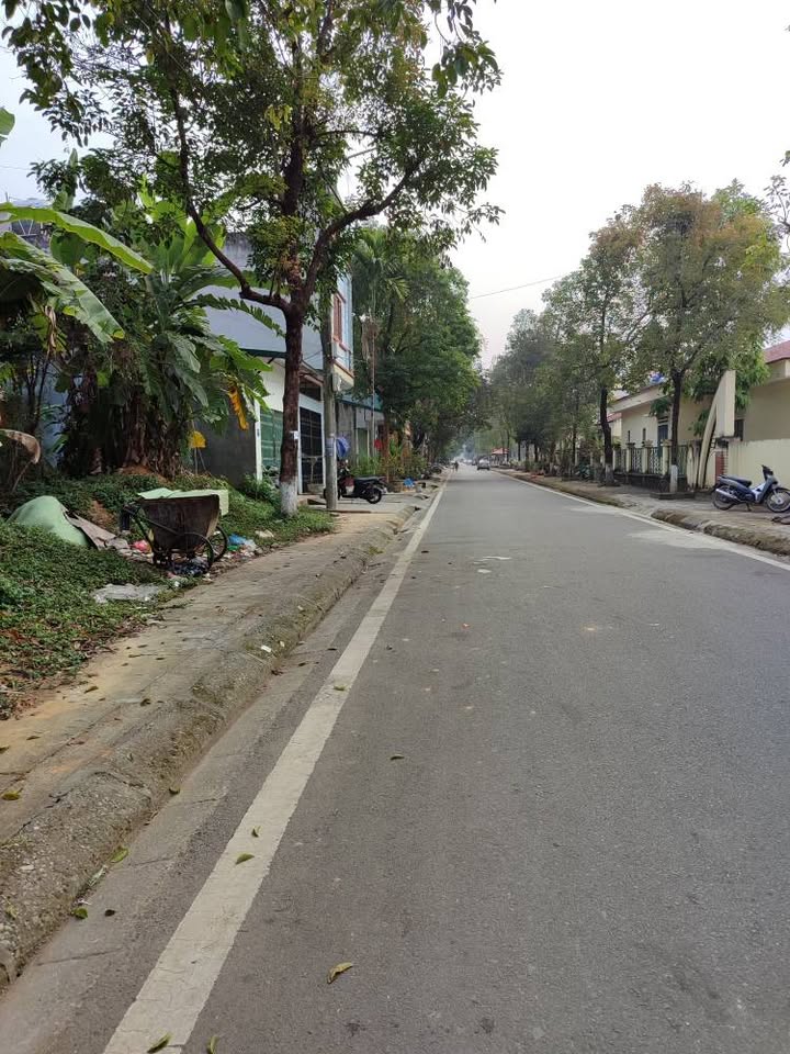 Đất nền đường Trần Hoàn, Lào Cai 100m² giá 2.3 tỷ - Cơ hội đầu tư tuyệt vời!