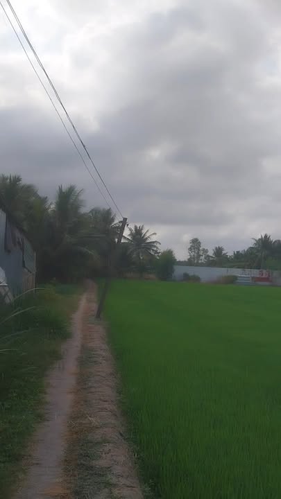 Đất nền 2480m² tại xã Vĩnh Thới, huyện Lai Vung - Giá 2.905 tỷ, cơ hội đầu tư không thể bỏ lỡ!