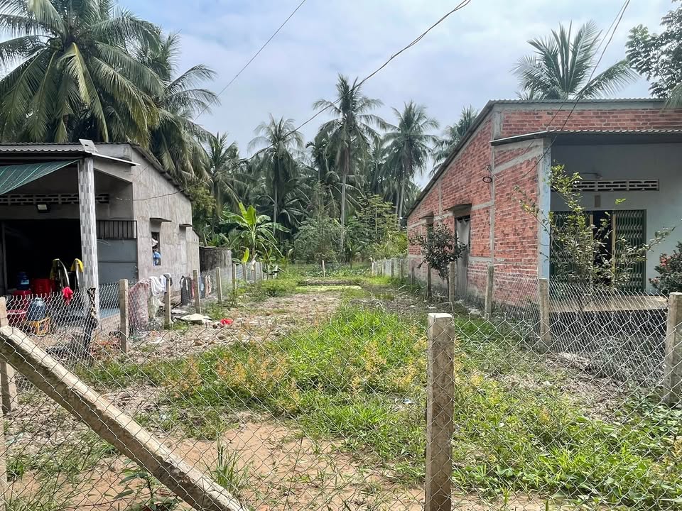 Đất nền An Cư, Hòa Định, Chợ Gạo 244m² giá 350 triệu - Sổ đỏ chính chủ ngay!