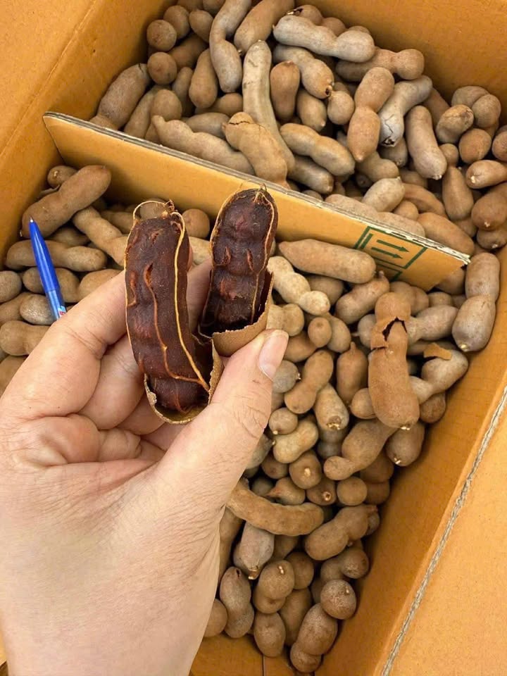 Nhà FrontHouse tại trung tâm thương mại xã Đăk Djrăng, Mang Yang, Gia Lai - Diện tích 250m² giá 3 tỷ - Bán gấp!