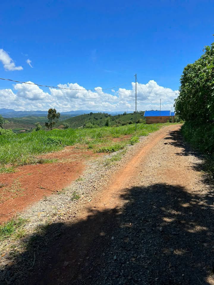 Đất nền 3000m² tại Tân Thượng, Di Linh - Giá 8.28 tỷ, sổ hồng riêng!