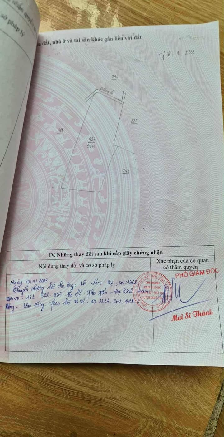 Farm Đạ Rsal, Đam Rông 160.000m² - Cơ hội đầu tư hấp dẫn!