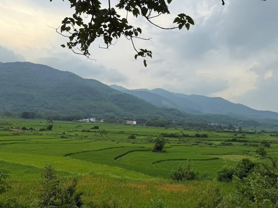 Đất nền Kim Bôi 1730m² giá 1.73 tỷ - View cánh đồng tuyệt đẹp!