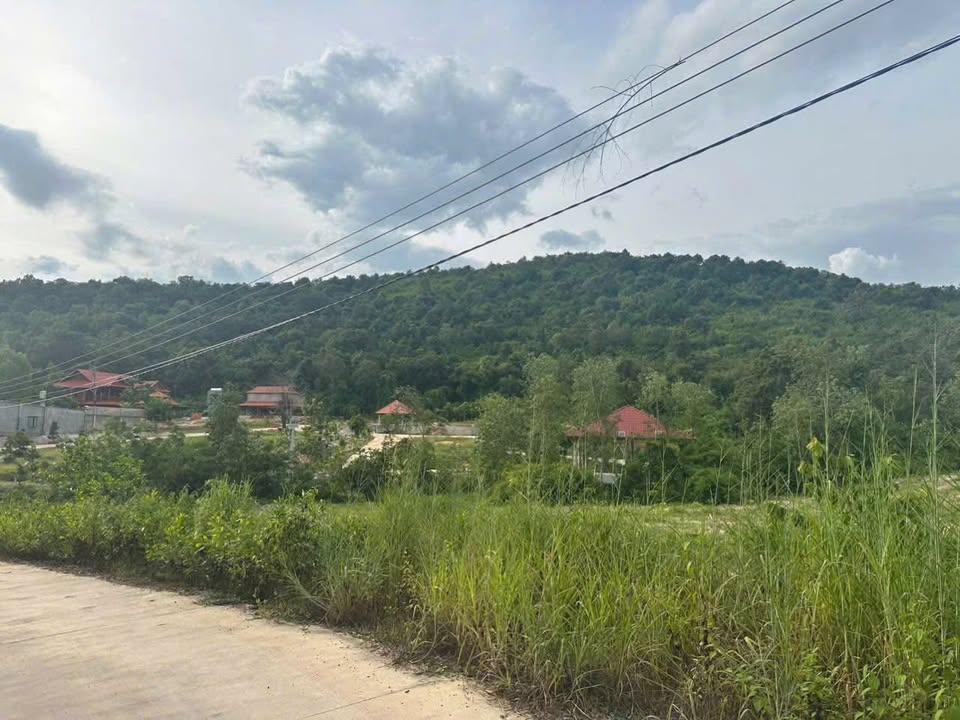 Đất nền xã Tân Thạnh Đông, Củ Chi 170m² giá chỉ 4xx triệu - Đầu tư sinh lời tiềm năng!