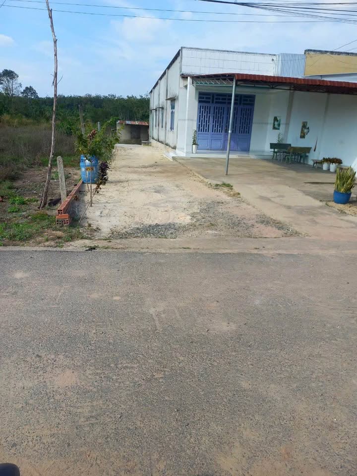 Đất nền Xã Định Hiệp, Huyện Dầu Tiếng, 900m² giá 800 triệu - Cơ hội đầu tư hấp dẫn!