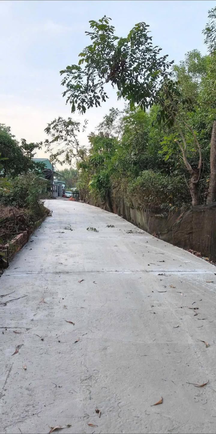 Đất nền Phường Uyên Hưng, TP. Tân Uyên - 95m² giá 1.4 tỷ - Cơ hội đầu tư tốt!