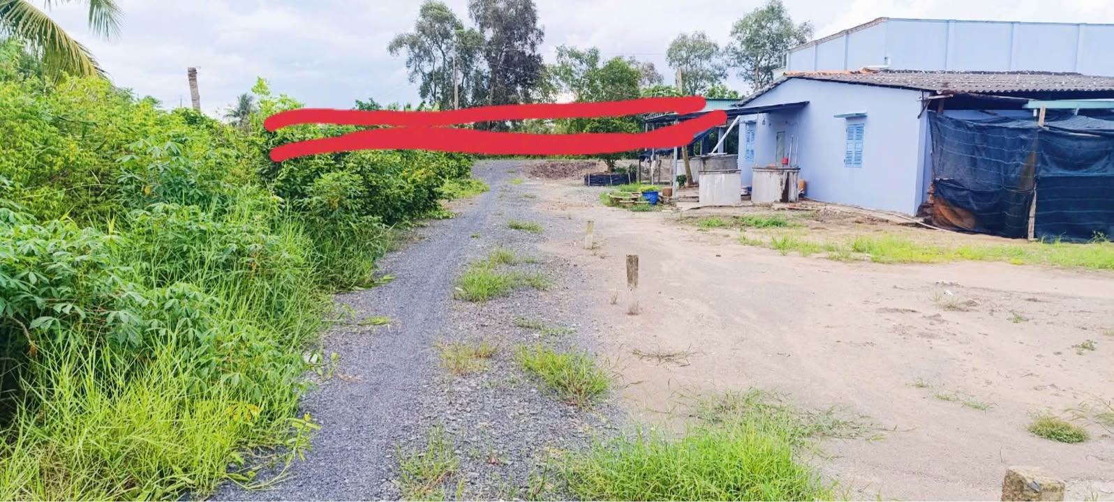 Đất nền 1000m² tại Ấp 6, Xã Bình Đức, Bến Lức - Giá chỉ 900 triệu!