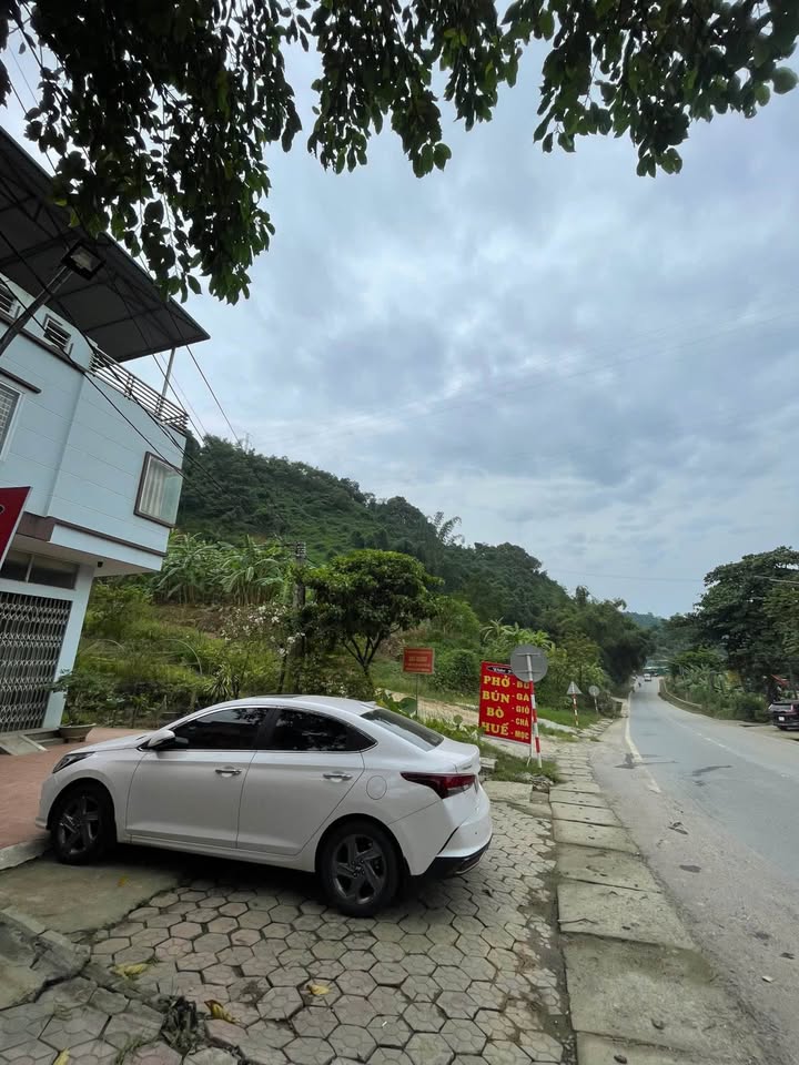 Trang trại 1,6ha tại Lào Cai giá 2.x tỷ - Cơ hội đầu tư lớn!