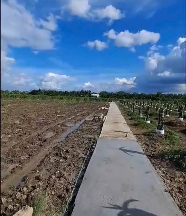 Đất vườn 680m² tại Thanh Phú Long, Châu Thành - Giá chỉ 279 triệu!