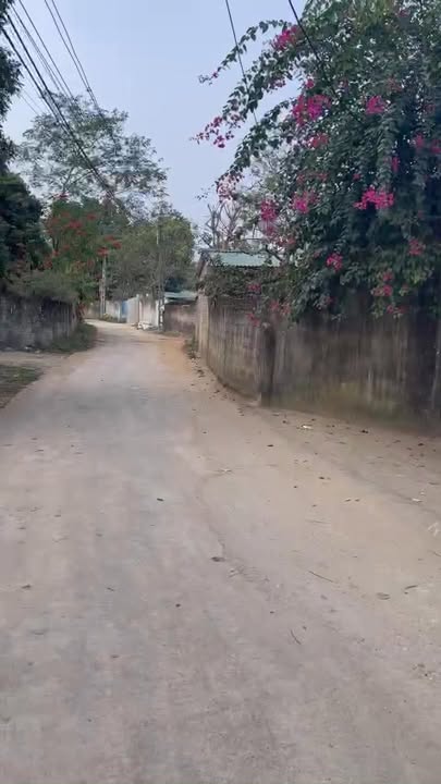 Đất thổ cư 114m² tại Thị trấn Kim Long, Vĩnh Phúc - Giá chỉ từ 700 triệu