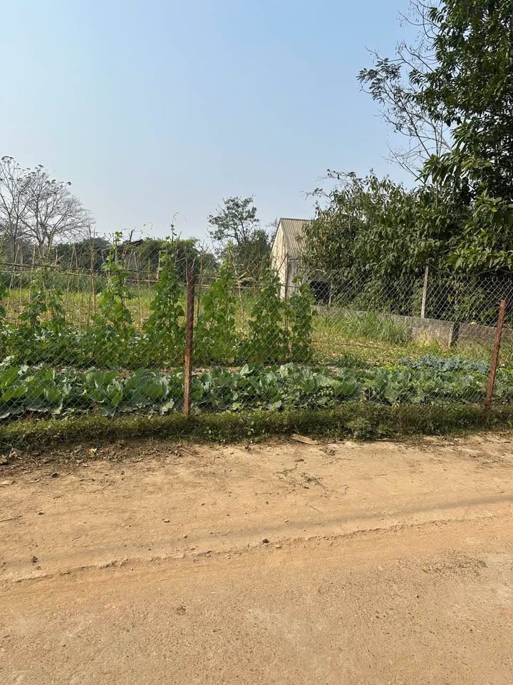 Đất nền 200m² tại Thị trấn Hưng Hoá, Tam Nông, Phú Thọ - Cơ hội đầu tư vàng!