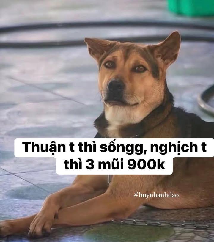 Đất nền 32 Ngô Quyền, Hòa Thành 141m² giá 9.495 tỷ - Cơ hội đầu tư tuyệt vời!